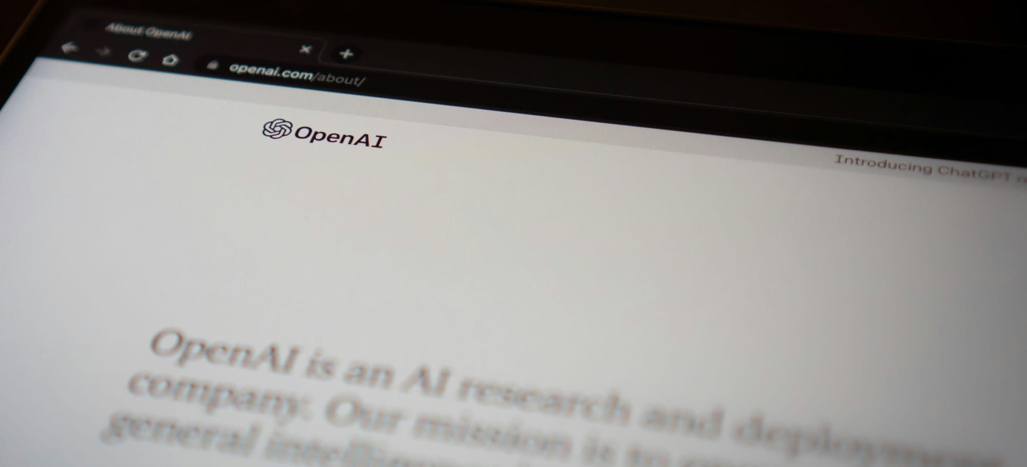 Installing .NET SDK into an OpenAI Codex environment
